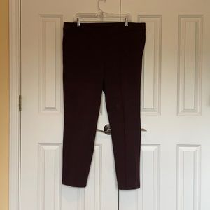 Ann Taylor factory flat front business pant